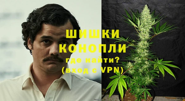 амф Арсеньев