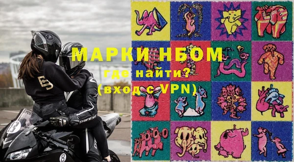 индика Медвежьегорск