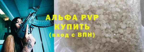 индика Медвежьегорск